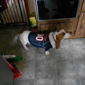 Meet your Posher, Kelli